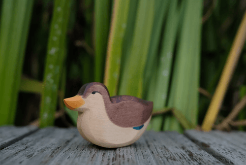 坐姿鴨鴨 Duck Sitting