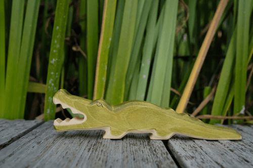 森林鱷魚 Crocodile
