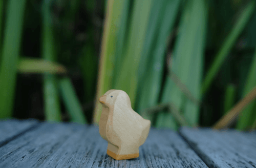 深色小雞 Chick dark