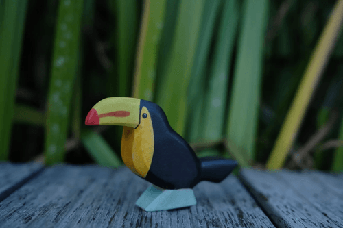森林巨嘴鳥 Toucan