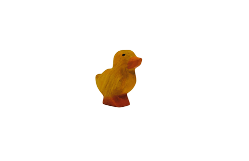 黃鴨寶寶 Duckling