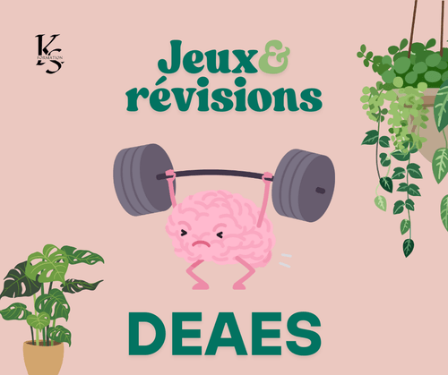 Jeux/Révisions DEAES