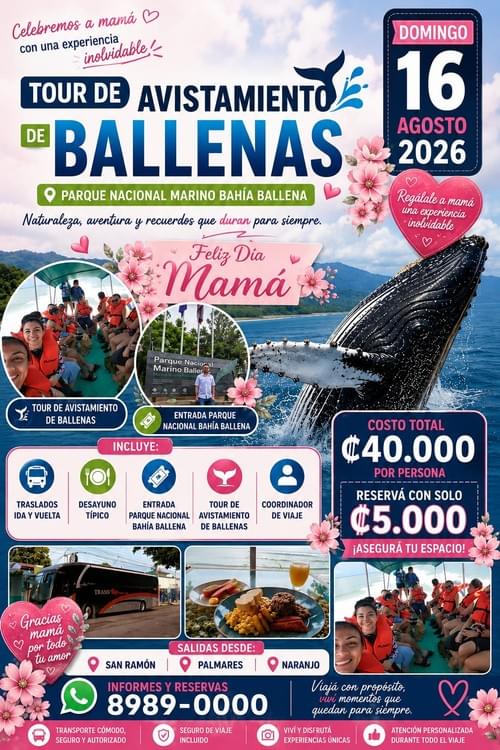 Tour Avistamiento de Ballenas
