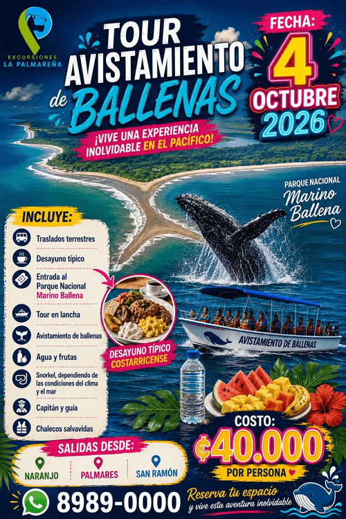 Tour Parque Marino Ballena + Avistamiento de Ballenas