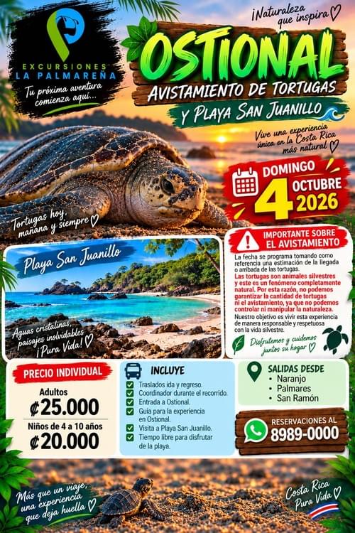 OSTIONAL – AVISTAMIENTO DE TORTUGAS + PLAYA SAN JUANILLO