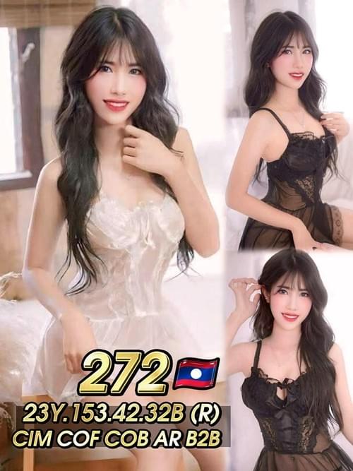 272 - 老挝
