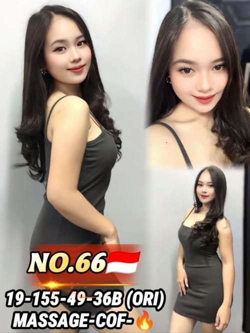 66 - 印尼