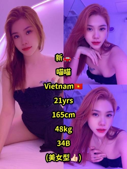 喵喵-越南