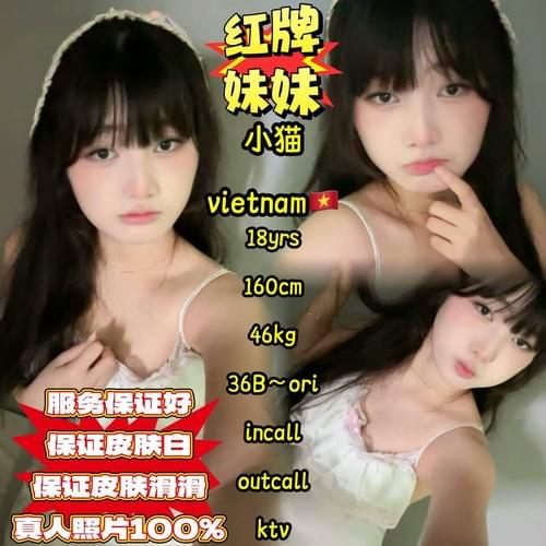 小猫