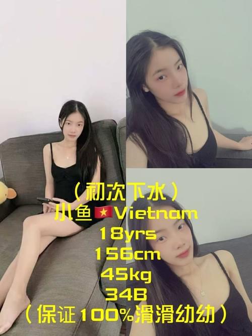 小鱼-越南