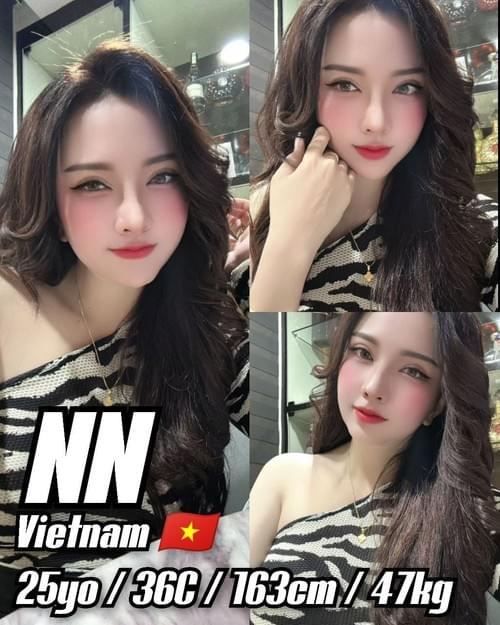 NN-越南