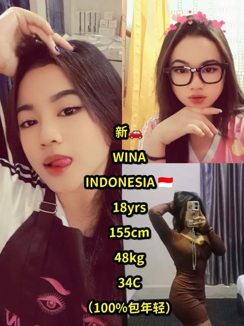 Wina-印尼