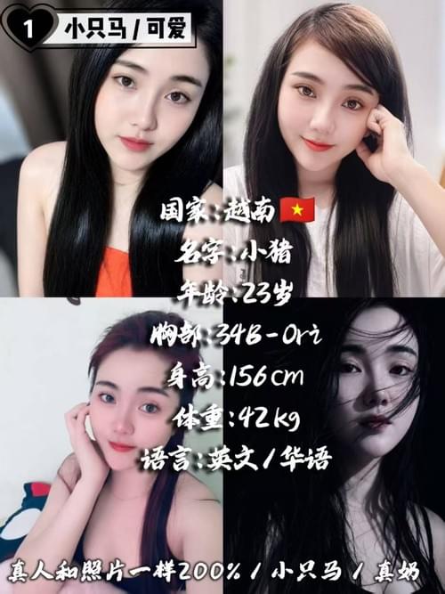 Xiao Zhu 小猪