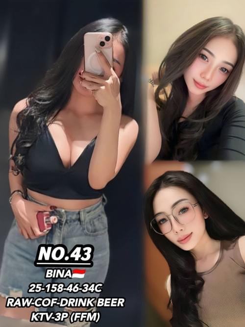 Bina-印尼