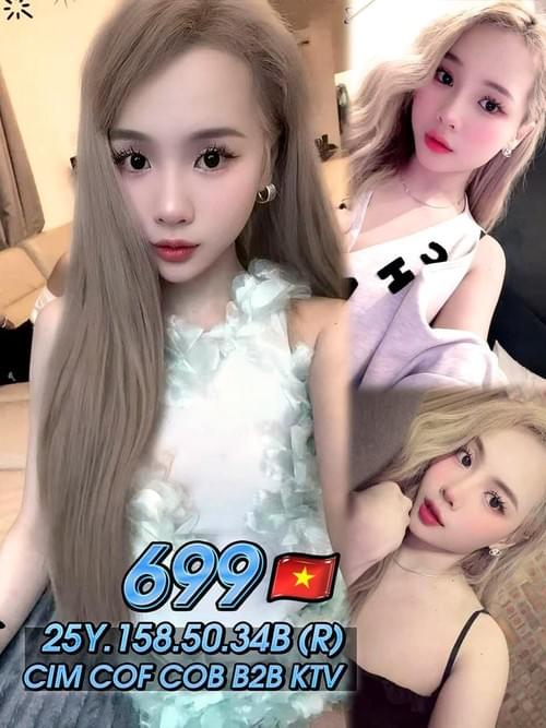 699 - 越南