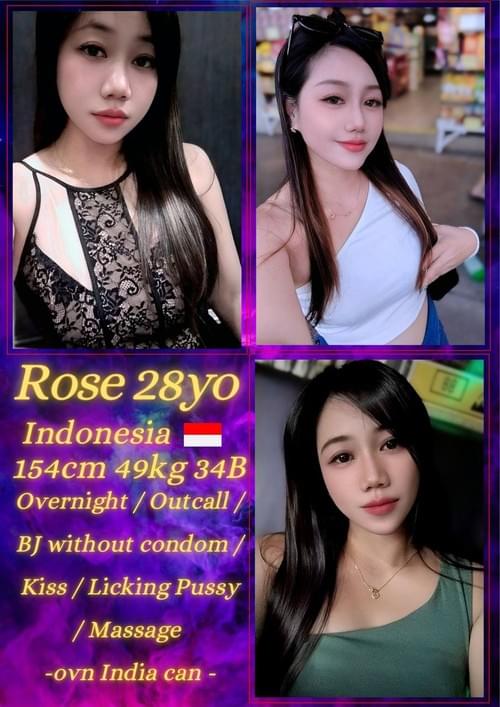 Rose - 印尼