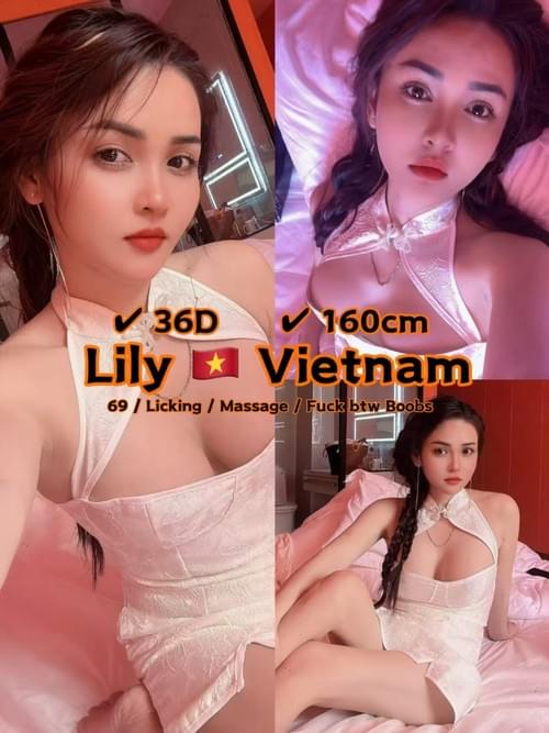 Lily - 越南