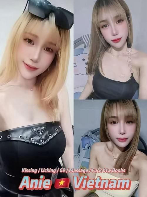 Anie-越南