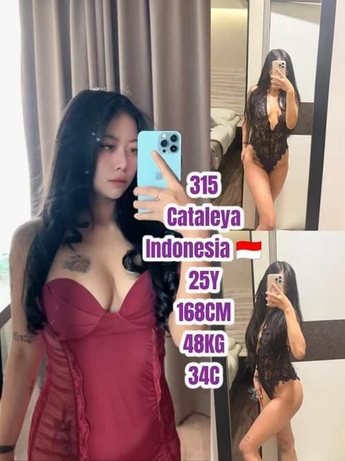 Cataleya - 印尼