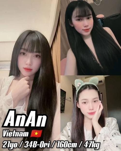 Anan-越南