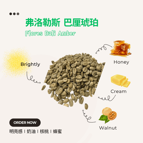 弗洛勒斯 巴厘琥珀 Flores Bali Amber