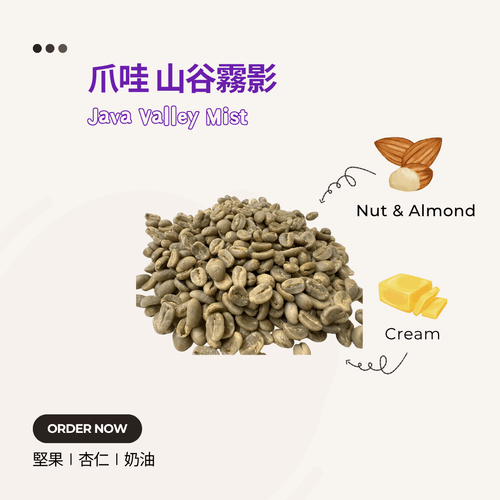 爪哇 山谷霧影 Java Valley Mist