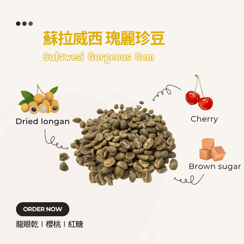 蘇拉威西 瑰麗珍豆 Sulawesi Gorgeous Gem