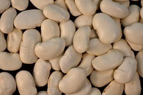 Giant Beans of Feneos