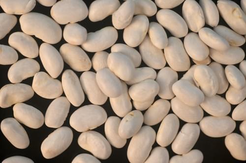 White Beans of Feneos