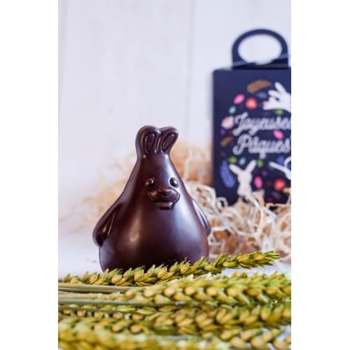 Moulage Lapin 75g Noir