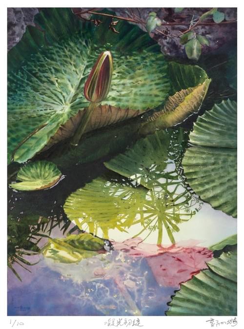 凝光初綻 Light Gathers,Bloom Unfolds