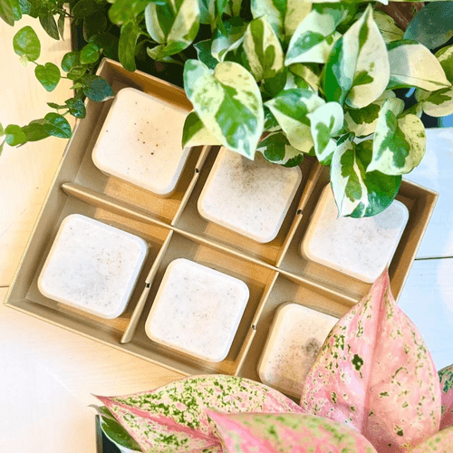 土包子系列手作－活力洗沐組