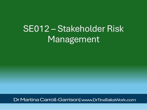 SE012 – Stakeholder Risk Management