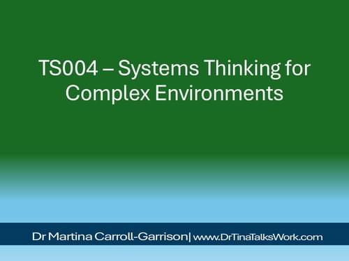 TS004 – Systems Thinking for Complex Environments