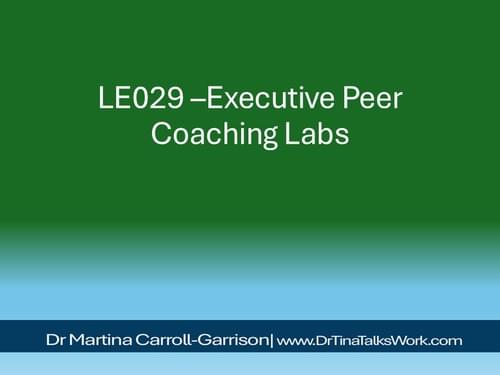 LE029 – Executive Peer Coaching Labs