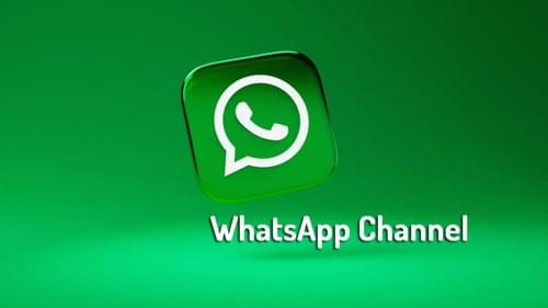 獨家Whatsapp channel members 頻道會員