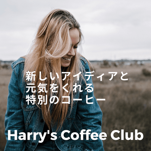 【 移ろいゆく季節の変わり目に。暑い日中はアイスで、朝と帰宅した後はホットで。】BSR-210(ホット+アイス用 240g、送料無料) 1