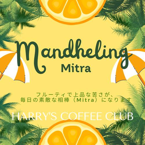 【特選マンデリンのスペシャルティ珈琲、フルーティで上品な苦さが、毎日の相棒(Mitra)になってくれます】MDR100(100g、送料無料)