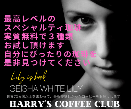 【実質無料で、お好きな3種類からじっくり試飲して、自分にぴったりの特別な珈琲を見つけられます(初回限定) 】DYS-60(2杯分x3種類/60g、送料無料)