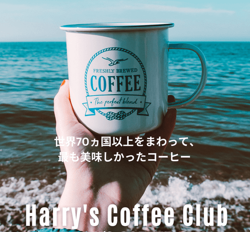【職場での小さな「美味しい」贈りものに。今月+1パック(16%増量)中です、マイボトル用1杯分(300ml用)の個装パックです】SBSP-12(@12gx6+1パック、送料無料) 1