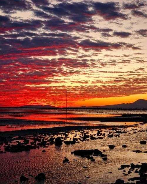 包車半日／四小時服務