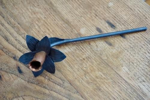 Single Daffodil