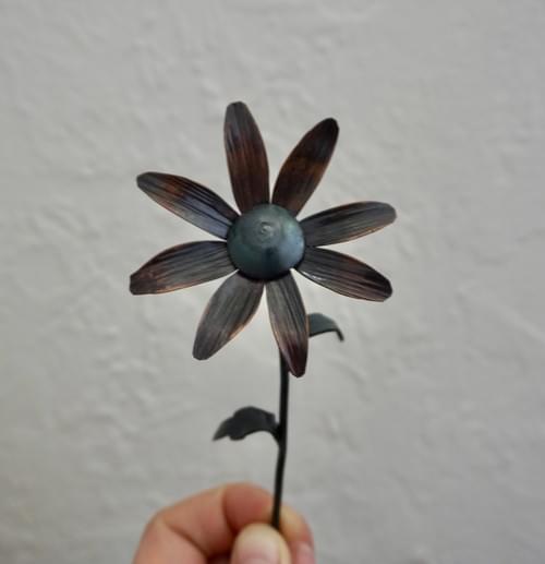 Single Copper Daisy