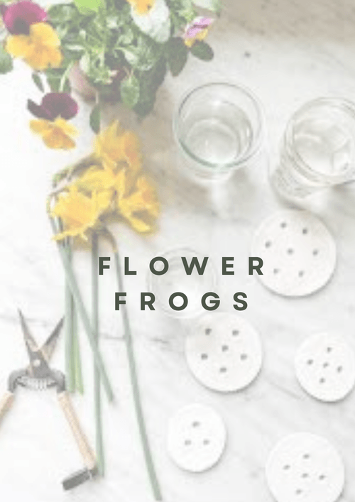 Clay Flower Frog Experience
