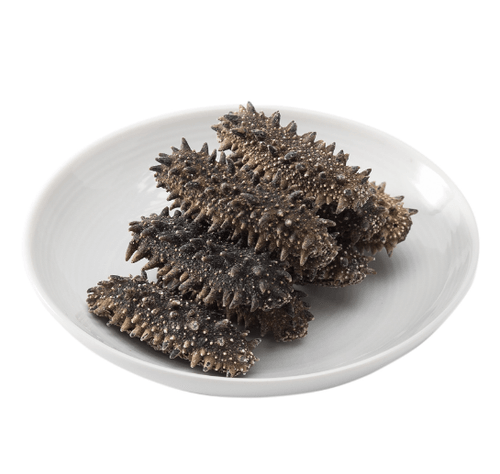 北海道頂級遼參王