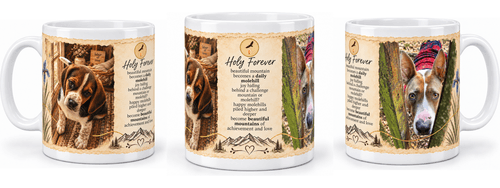 Holy Forever