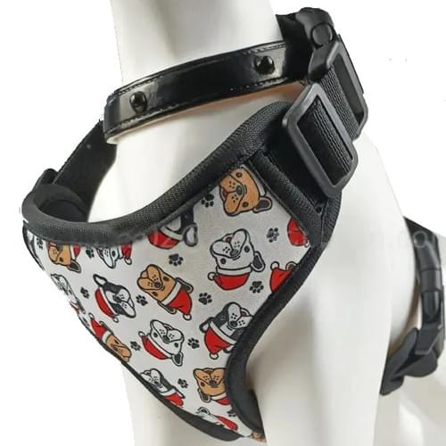 Pechera y Correa para Mascota para Personalizar