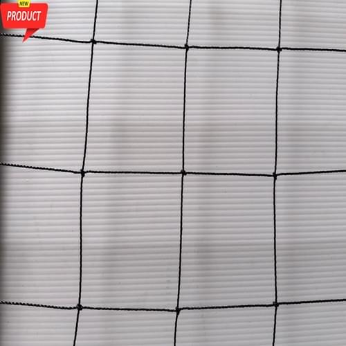 75mm×75mm Black Square Knotted Net for Bird Control