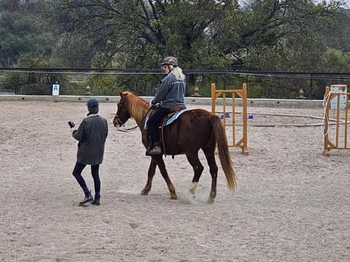 Therapeutic Riding (All Disciplines)