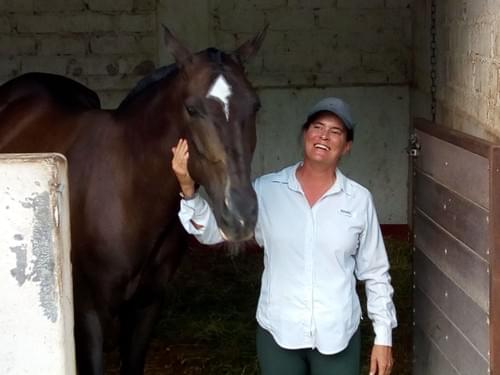 Horseback Riding Lessons